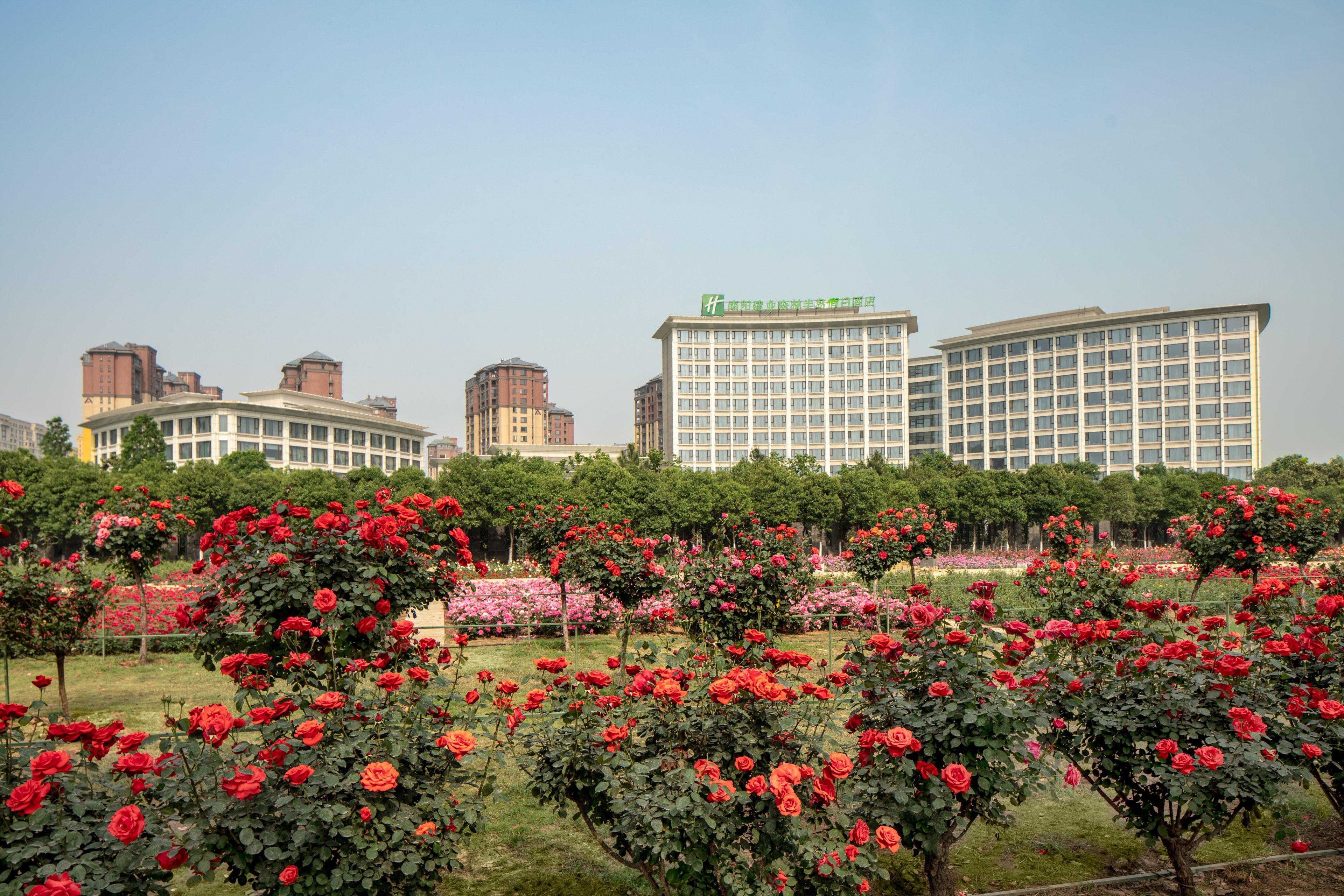 Holiday Inn Nanyang By Ihg Ngoại thất bức ảnh