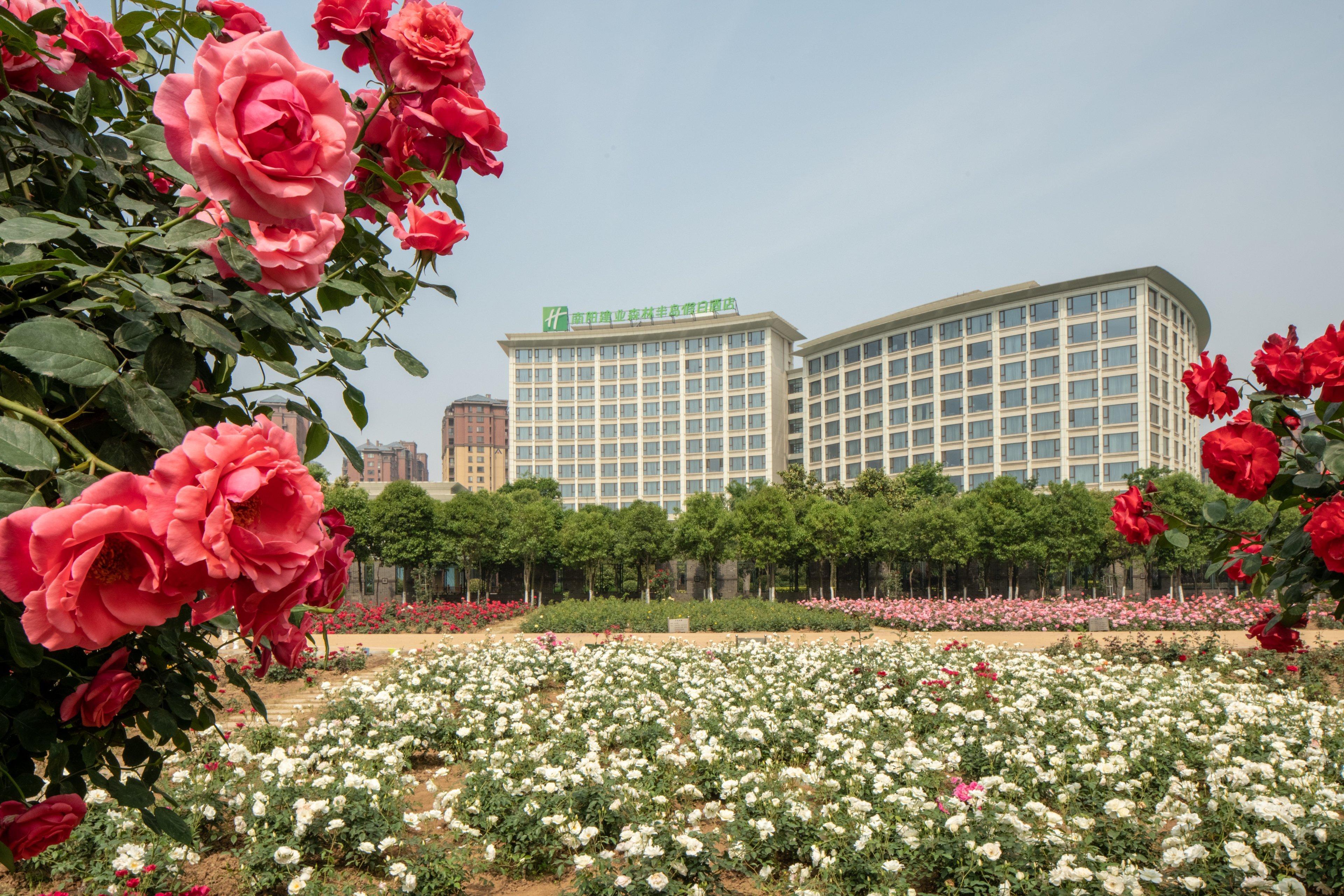 Holiday Inn Nanyang By Ihg Ngoại thất bức ảnh
